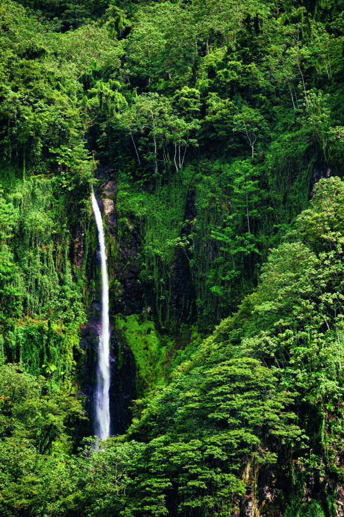 Ein ästhetischer Wasserfall auf Cocos Island, der inmitten des Jungles herunterplätschert.