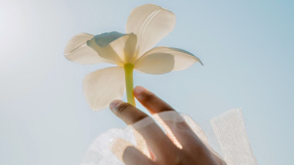 hand holding a flower, blue sky, aesthetic