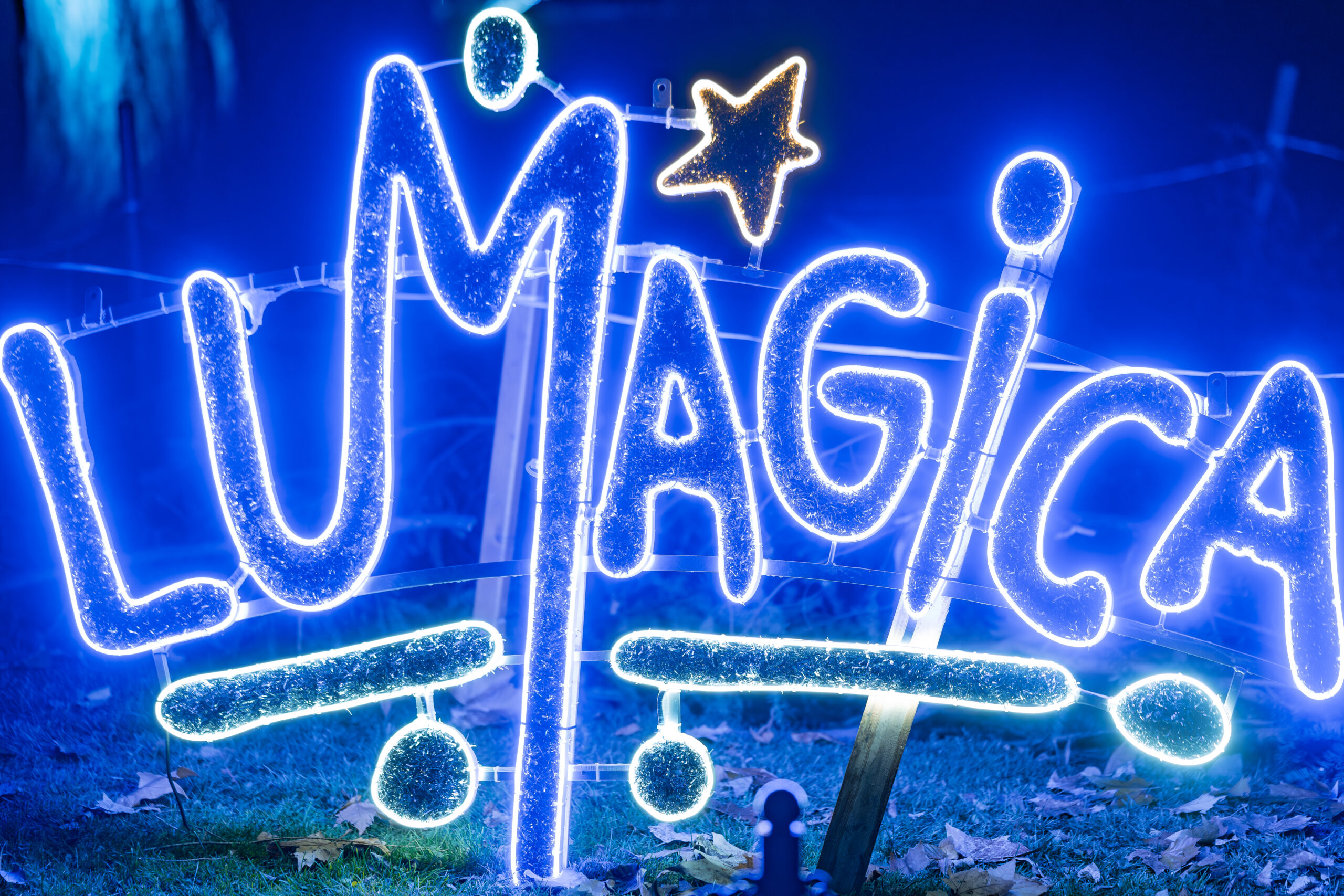 Lumagica 2025