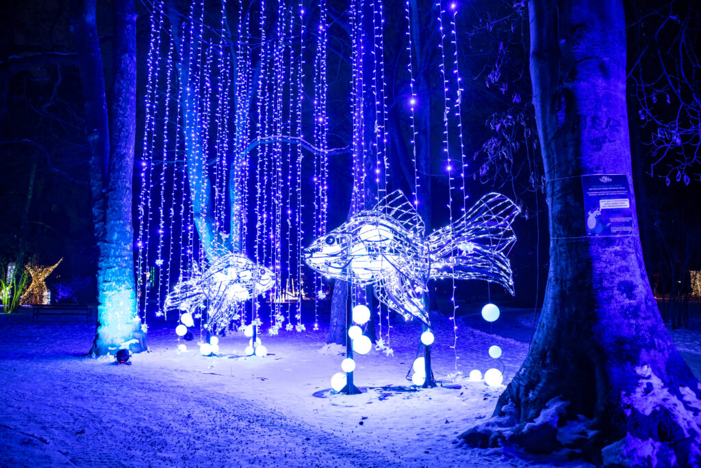 Lumagica Innsbruck, leuchtende LED-Fische