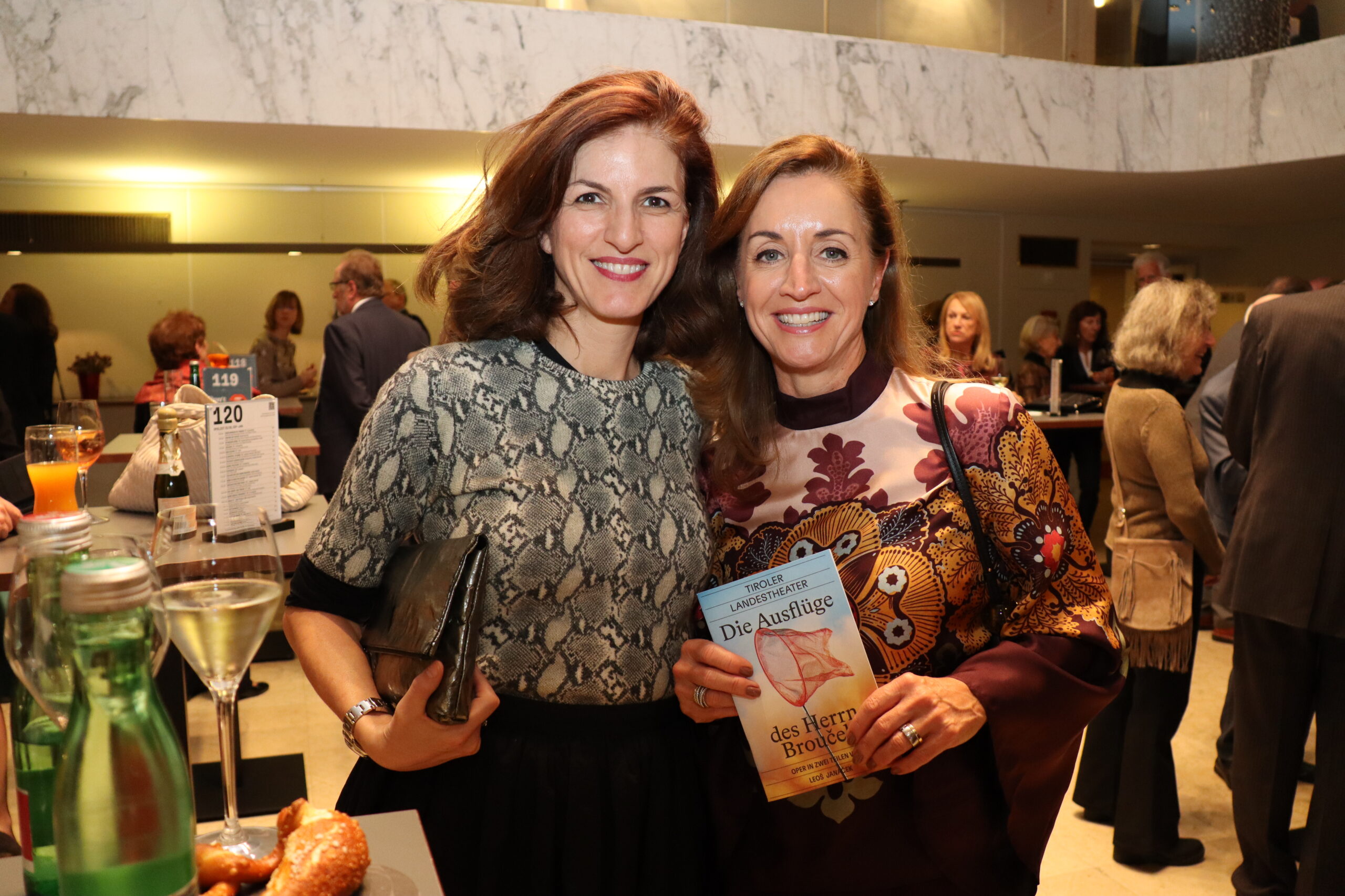 DIE AUSFLÜGE DES HERRN BROUČEK