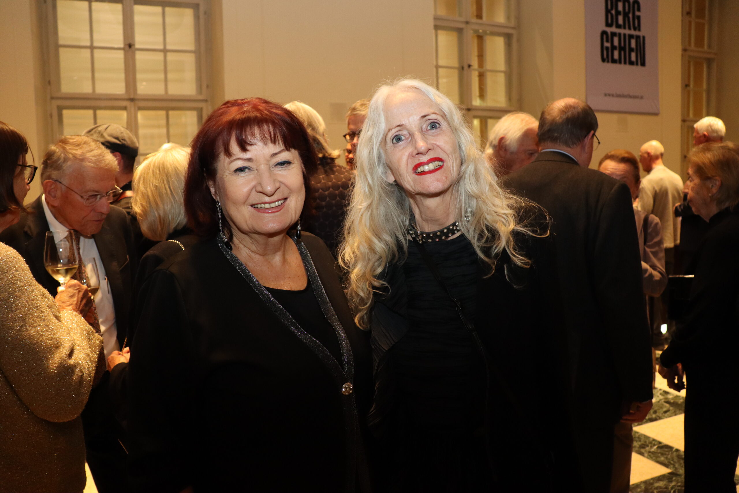 DIE AUSFLÜGE DES HERRN BROUČEK