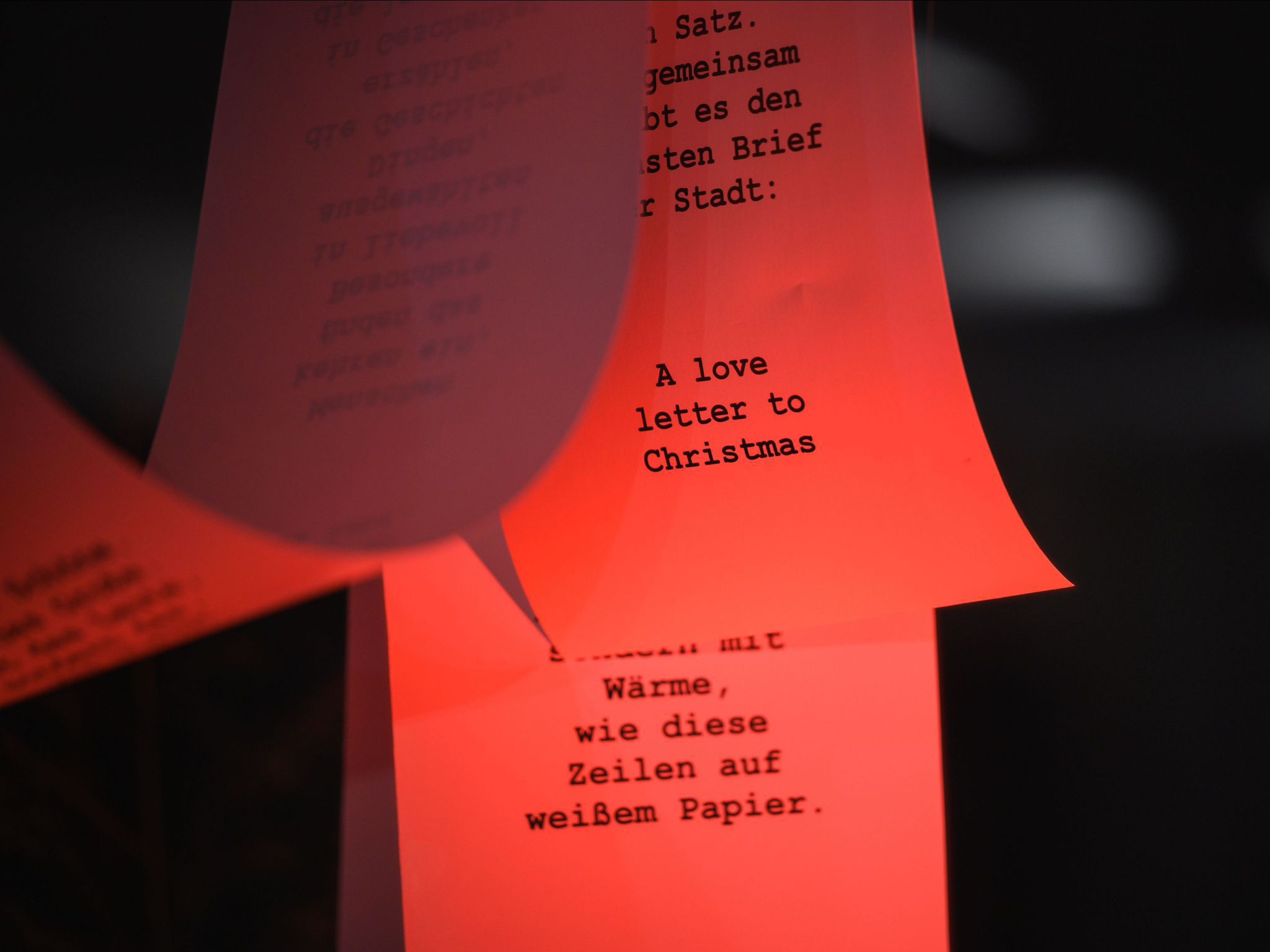 PETERA A love letter to christmas