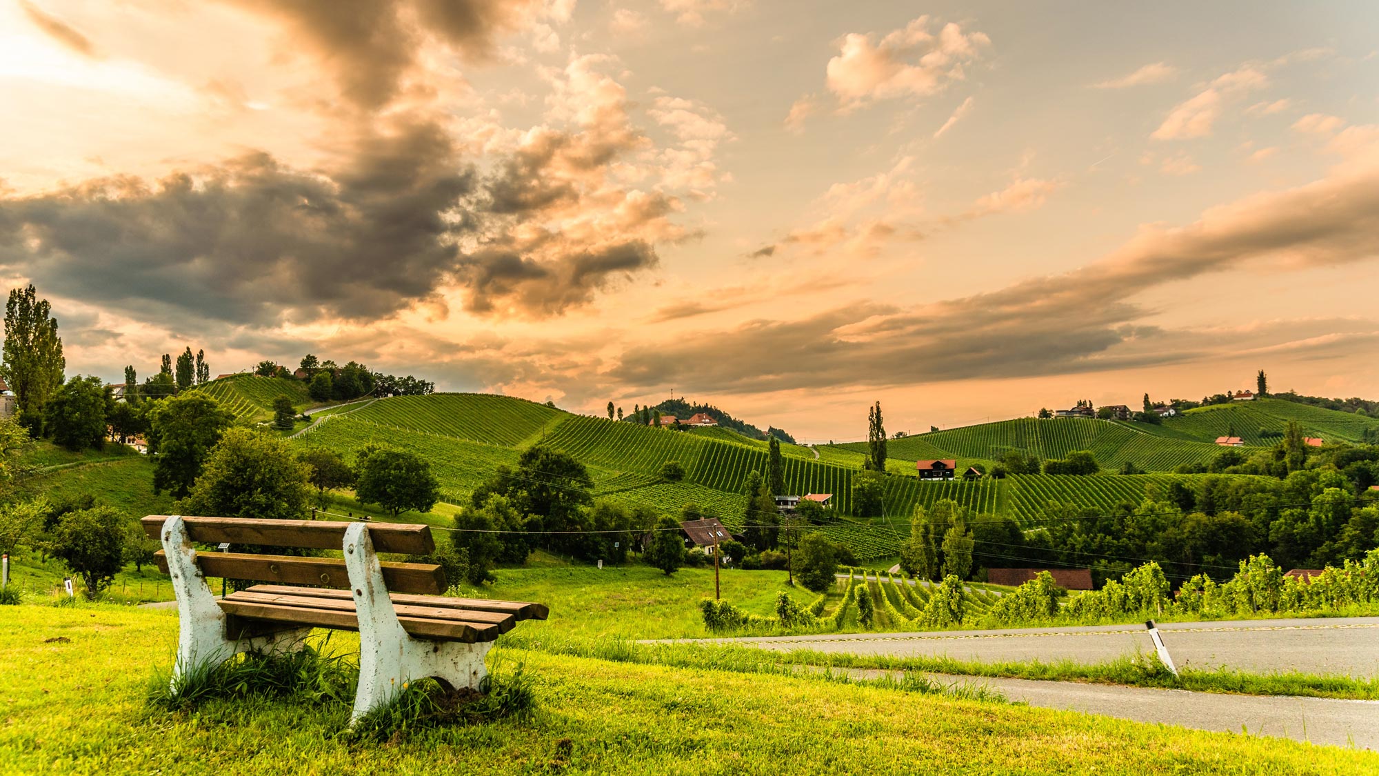 Aussicht auf Weinberge in der Steiermark.