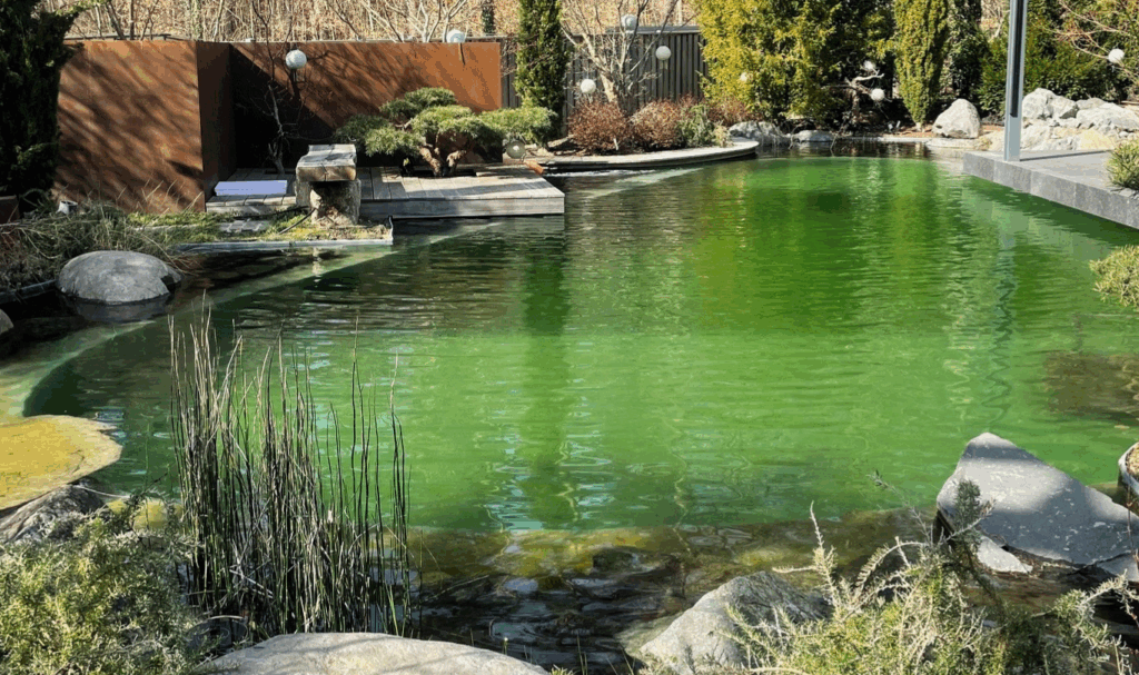 Weitz Wasserwelt