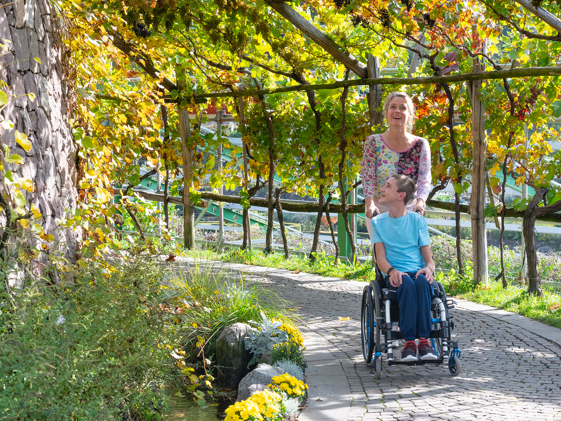 Gärten Schloss Trattmansdorff Herbstprogramm